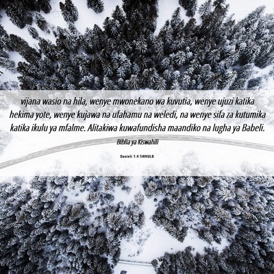 Picture 06 - Danieli 1:4 SWHULB - vijana wasio na hila, wenye mwonekano wa kuvutia, - Bible Verse Picture