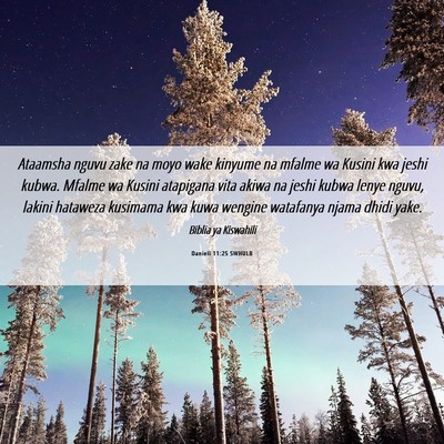 Picture 06 - Danieli 11:25 SWHULB - Ataamsha nguvu zake na moyo wake kinyume na - Bible Verse Picture