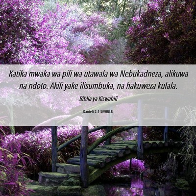 Picture 06 - Danieli 2:1 SWHULB - Katika mwaka wa pili wa utawala wa Nebukadneza, - Bible Verse Picture