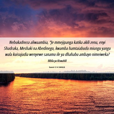 Picture 06 - Danieli 3:14 SWHULB - Nebukadneza aliwaambia, “Je mmejipanga katika - Bible Verse Picture
