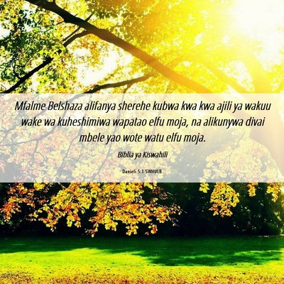 Picture 06 - Danieli 5:1 SWHULB - Mfalme Belshaza alifanya sherehe kubwa kwa kwa - Bible Verse Picture