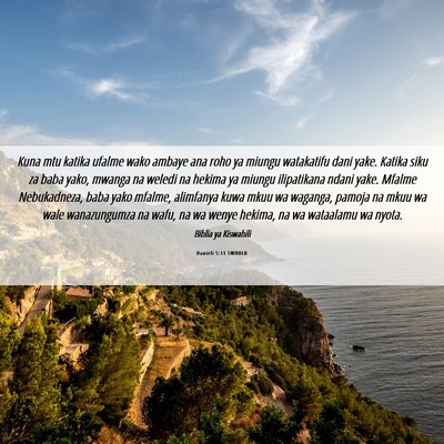 Picture 06 - Danieli 5:11 SWHULB - Kuna mtu katika ufalme wako ambaye ana roho ya - Bible Verse Picture