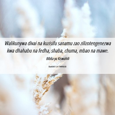Picture 06 - Danieli 5:4 SWHULB - Walikunywa divai na kuzisifu sanamu zao - Bible Verse Picture