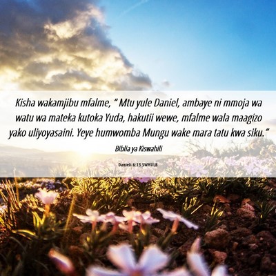 Picture 06 - Danieli 6:13 SWHULB - Kisha wakamjibu mfalme, “ Mtu yule Daniel, - Bible Verse Picture
