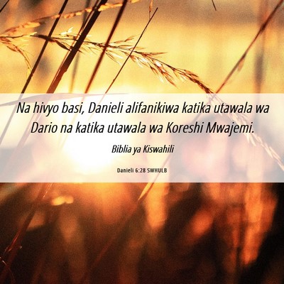 Picture 06 - Danieli 6:28 SWHULB - Na hivyo basi, Danieli alifanikiwa katika utawala - Bible Verse Picture