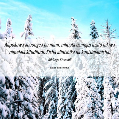 Picture 06 - Danieli 8:18 SWHULB - Alipokuwa anaongea na mimi, nilipata usiingizi - Bible Verse Picture