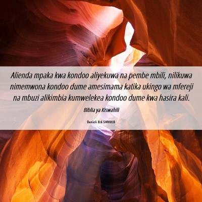 Picture 06 - Danieli 8:6 SWHULB - Alienda mpaka kwa kondoo aliyekuwa na pembe - Bible Verse Picture