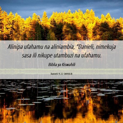 Picture 06 - Danieli 9:22 SWHULB - Alinipa ufahamu na aliniambia, “Danieli, - Bible Verse Picture