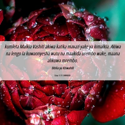 Picture 06 - Esta 1:11 SWHULB - kumleta Malkia Vashiti akiwa katika mavazi yake - Bible Verse Picture