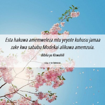 Picture 06 - Esta 2:10 SWHULB - Esta hakuwa amemweleza mtu yeyote kuhusu jamaa - Bible Verse Picture