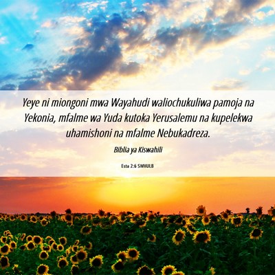 Picture 06 - Esta 2:6 SWHULB - Yeye ni miongoni mwa Wayahudi waliochukuliwa - Bible Verse Picture