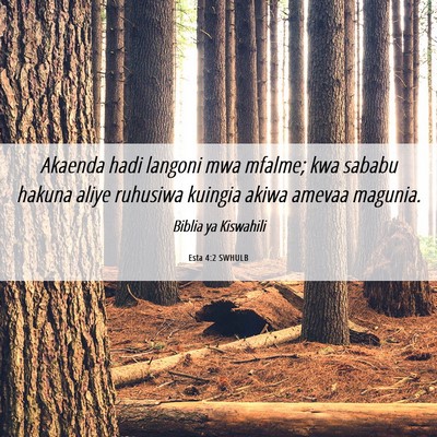Picture 06 - Esta 4:2 SWHULB - Akaenda hadi langoni mwa mfalme; kwa sababu - Bible Verse Picture