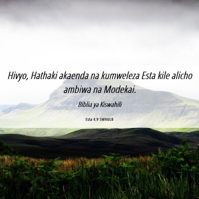 Picture 06 - Esta 4:9 SWHULB - Hivyo, Hathaki akaenda na kumweleza Esta kile - Bible Verse Picture