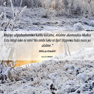 Picture 06 - Esta 5:6 SWHULB - Mvinyo ulipohudumiwa katika karamu, mfalme - Bible Verse Picture