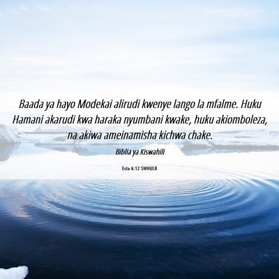 Picture 06 - Esta 6:12 SWHULB - Baada ya hayo Modekai alirudi kwenye lango la - Bible Verse Picture