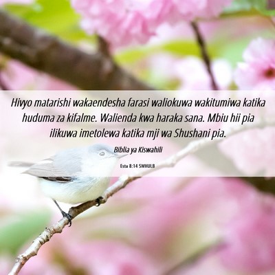 Picture 06 - Esta 8:14 SWHULB - Hivyo matarishi wakaendesha farasi waliokuwa - Bible Verse Picture