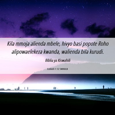 Picture 06 - Ezekieli 1:12 SWHULB - Kila mmoja alienda mbele, hivyo basi popote Roho - Bible Verse Picture