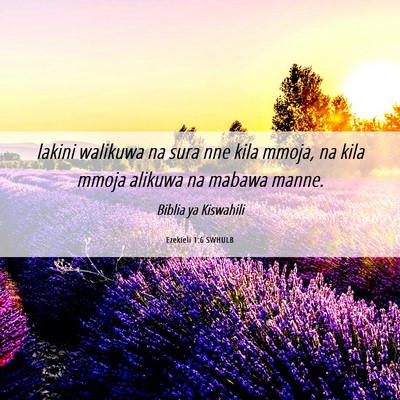 Picture 06 - Ezekieli 1:6 SWHULB - lakini walikuwa na sura nne kila mmoja, na kila - Bible Verse Picture