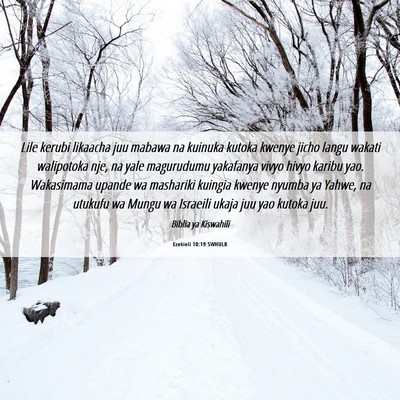 Picture 06 - Ezekieli 10:19 SWHULB - Lile kerubi likaacha juu mabawa na kuinuka kutoka - Bible Verse Picture