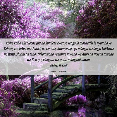 Picture 06 - Ezekieli 11:1 SWHULB - Kisha Roho akaniacha juu na kunileta kwenye lango - Bible Verse Picture