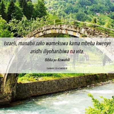 Picture 06 - Ezekieli 13:4 SWHULB - Israeli, manabii zako wamekuwa kama mbeha kwenye - Bible Verse Picture