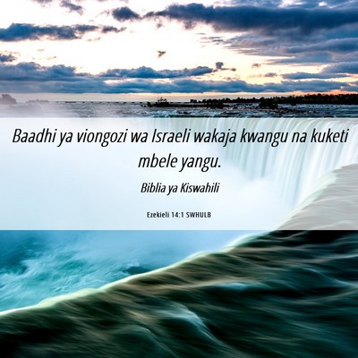 Picture 06 - Ezekieli 14:1 SWHULB - Baadhi ya viongozi wa Israeli wakaja kwangu na - Bible Verse Picture