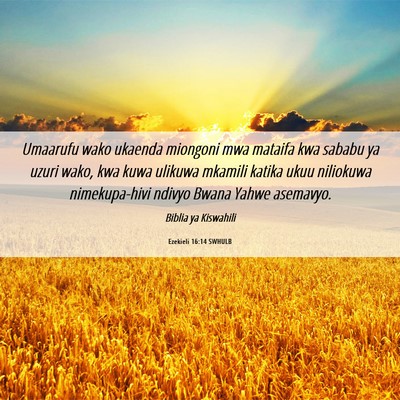 Picture 06 - Ezekieli 16:14 SWHULB - Umaarufu wako ukaenda miongoni mwa mataifa kwa - Bible Verse Picture