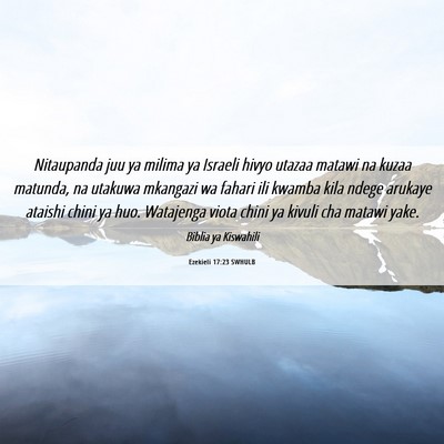Picture 06 - Ezekieli 17:23 SWHULB - Nitaupanda juu ya milima ya Israeli hivyo utazaa - Bible Verse Picture
