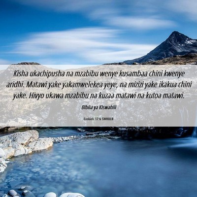 Picture 06 - Ezekieli 17:6 SWHULB - Kisha ukachipusha na mzabibu wenye kusambaa chini - Bible Verse Picture