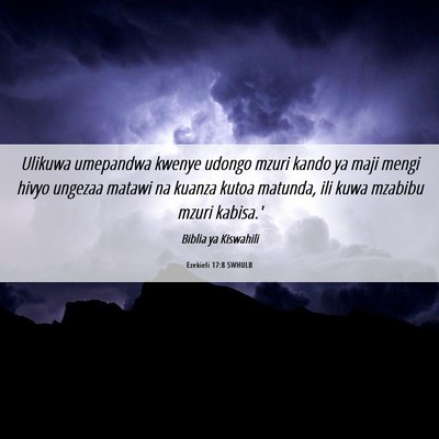 Picture 06 - Ezekieli 17:8 SWHULB - Ulikuwa umepandwa kwenye udongo mzuri kando ya - Bible Verse Picture