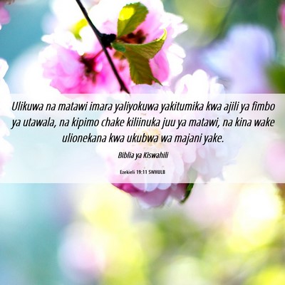Picture 06 - Ezekieli 19:11 SWHULB - Ulikuwa na matawi imara yaliyokuwa yakitumika kwa - Bible Verse Picture
