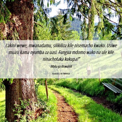Picture 06 - Ezekieli 2:8 SWHULB - Lakini wewe, mwanadamu, silikiliza kile nisemacho - Bible Verse Picture