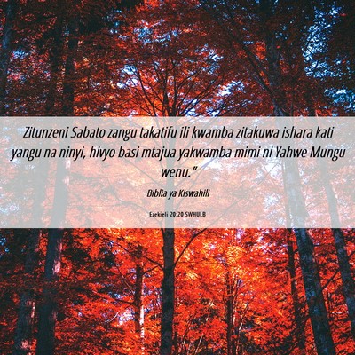 Picture 06 - Ezekieli 20:20 SWHULB - Zitunzeni Sabato zangu takatifu ili kwamba - Bible Verse Picture