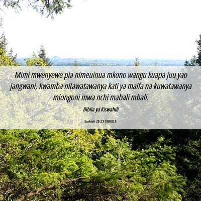 Picture 06 - Ezekieli 20:23 SWHULB - Mimi mwenyewe pia nimeuinua mkono wangu kuapa juu - Bible Verse Picture