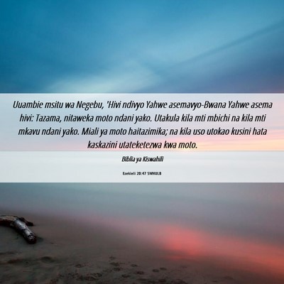 Picture 06 - Ezekieli 20:47 SWHULB - Uuambie msitu wa Negebu, 'Hivi ndivyo Yahwe - Bible Verse Picture