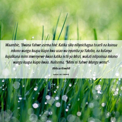 Picture 06 - Ezekieli 20:5 SWHULB - Waambie, 'Bwana Yahwe asema hivi: Katika siku - Bible Verse Picture