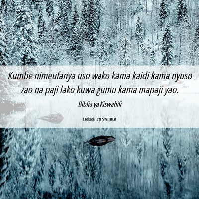 Picture 06 - Ezekieli 3:8 SWHULB - Kumbe nimeufanya uso wako kama kaidi kama nyuso - Bible Verse Picture
