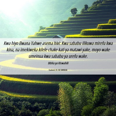 Picture 06 - Ezekieli 31:10 SWHULB - Kwa hiyo Bwana Yahwe asema hivi: Kwa sababu - Bible Verse Picture