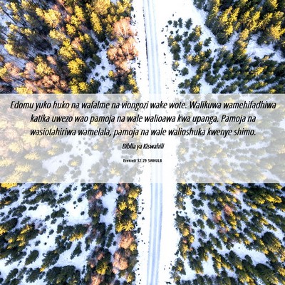 Picture 06 - Ezekieli 32:29 SWHULB - Edomu yuko huko na wafalme na viongozi wake wote. - Bible Verse Picture