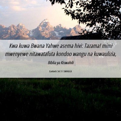 Picture 06 - Ezekieli 34:11 SWHULB - Kwa kuwa Bwana Yahwe asema hivi: Tazama! mimi - Bible Verse Picture