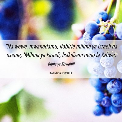 Picture 06 - Ezekieli 36:1 SWHULB - “Na wewe, mwanadamu, itabirie milima ya Israeli - Bible Verse Picture