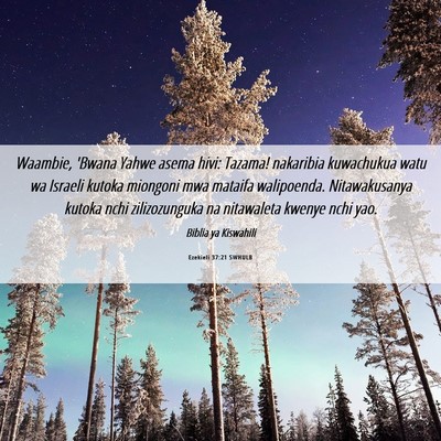 Picture 06 - Ezekieli 37:21 SWHULB - Waambie, 'Bwana Yahwe asema hivi: Tazama! - Bible Verse Picture