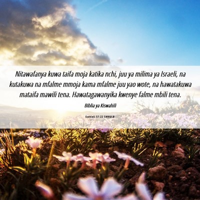 Picture 06 - Ezekieli 37:22 SWHULB - Nitawafanya kuwa taifa moja katika nchi, juu ya - Bible Verse Picture