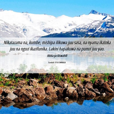Picture 06 - Ezekieli 37:8 SWHULB - Nikatazama na, kumbe, mishipa ilikuwa juu sasa, - Bible Verse Picture