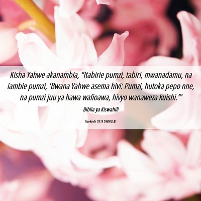 Picture 06 - Ezekieli 37:9 SWHULB - Kisha Yahwe akanambia, “Itabirie pumzi, tabiri, - Bible Verse Picture