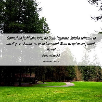 Picture 06 - Ezekieli 38:6 SWHULB - Gomeri na jeshi lake lote, na Beth-Togarma, - Bible Verse Picture