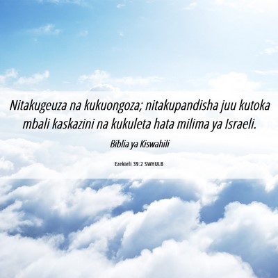 Picture 06 - Ezekieli 39:2 SWHULB - Nitakugeuza na kukuongoza; nitakupandisha juu - Bible Verse Picture