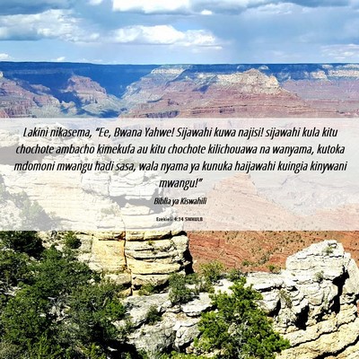 Picture 06 - Ezekieli 4:14 SWHULB - Lakini nikasema, “Ee, Bwana Yahwe! Sijawahi - Bible Verse Picture
