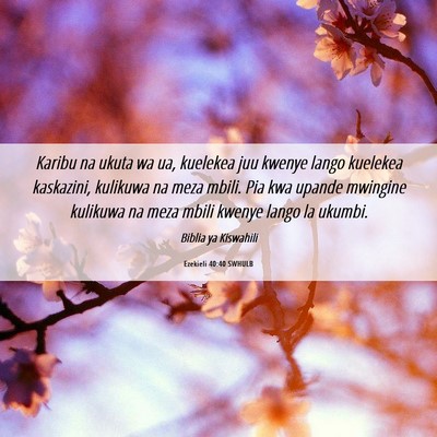 Picture 06 - Ezekieli 40:40 SWHULB - Karibu na ukuta wa ua, kuelekea juu kwenye lango - Bible Verse Picture