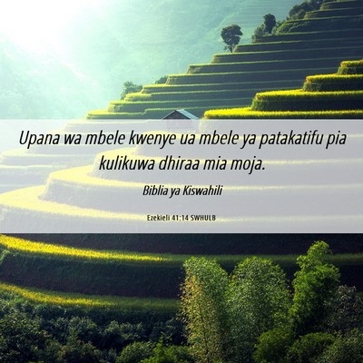 Picture 06 - Ezekieli 41:14 SWHULB - Upana wa mbele kwenye ua mbele ya patakatifu pia - Bible Verse Picture